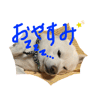 ももたろうの気持ち（個別スタンプ：15）