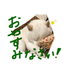 ももたろうの気持ち（個別スタンプ：16）