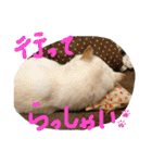 ももたろうの気持ち（個別スタンプ：18）