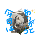 ももたろうの気持ち（個別スタンプ：23）