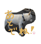 ももたろうの気持ち（個別スタンプ：32）