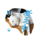 ももたろうの気持ち（個別スタンプ：36）