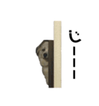 ふくさんです（個別スタンプ：5）