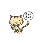 べいびぃとその仲間たち（個別スタンプ：17）