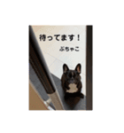 ぶちゃ︎すたんぷ！！不茶子！（個別スタンプ：2）
