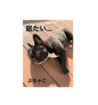 ぶちゃ︎すたんぷ！！不茶子！（個別スタンプ：3）