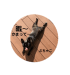 ぶちゃ︎すたんぷ！！不茶子！（個別スタンプ：4）