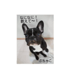 ぶちゃ︎すたんぷ！！不茶子！（個別スタンプ：5）