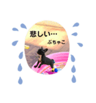 ぶちゃ︎すたんぷ！！不茶子！（個別スタンプ：8）