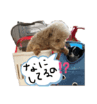 きこんちのわんちゃんその①（個別スタンプ：18）
