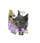 ころ＆まお＆ボーロ＆がっち＆めぐ＆なる（個別スタンプ：3）