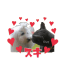 ころ＆まお＆ボーロ＆がっち＆めぐ＆なる（個別スタンプ：7）