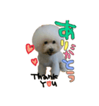 ころ＆まお＆ボーロ＆がっち＆めぐ＆なる（個別スタンプ：9）