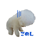ころ＆まお＆ボーロ＆がっち＆めぐ＆なる（個別スタンプ：11）