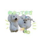ころ＆まお＆ボーロ＆がっち＆めぐ＆なる（個別スタンプ：15）