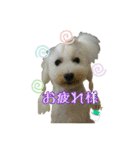 ころ＆まお＆ボーロ＆がっち＆めぐ＆なる（個別スタンプ：19）