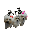 ころ＆まお＆ボーロ＆がっち＆めぐ＆なる（個別スタンプ：23）