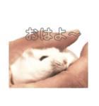 うちの癒し系。（個別スタンプ：7）