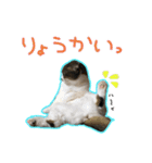 ちびとみにの仲良しスタンプ その1（個別スタンプ：2）