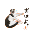 ちびとみにの仲良しスタンプ その1（個別スタンプ：6）