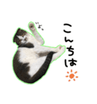 ちびとみにの仲良しスタンプ その1（個別スタンプ：7）