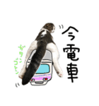 ちびとみにの仲良しスタンプ その1（個別スタンプ：17）