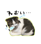 ちびとみにの仲良しスタンプ その1（個別スタンプ：19）
