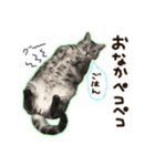 ちびとみにの仲良しスタンプ その1（個別スタンプ：22）