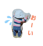 しんさま5（個別スタンプ：5）