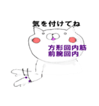 【機能編】筋学上肢手指〜医療系学生〜（個別スタンプ：12）