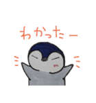 ペンギンと相槌。（個別スタンプ：11）