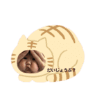 綾夏（個別スタンプ：3）