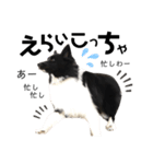 ガングロー’s（個別スタンプ：5）