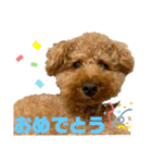 かえ★そら（個別スタンプ：5）