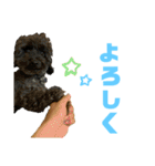 かえ★そら（個別スタンプ：7）