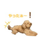 かえ★そら（個別スタンプ：11）