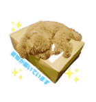 かえ★そら（個別スタンプ：15）