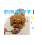 かえ★そら（個別スタンプ：16）