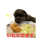 かえ★そら（個別スタンプ：17）