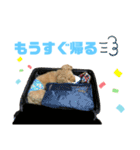 かえ★そら（個別スタンプ：20）