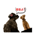 かえ★そら（個別スタンプ：22）