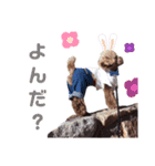 ホタンプ series1（個別スタンプ：6）