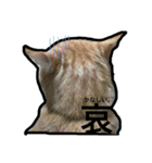 my nyaaans！（個別スタンプ：39）