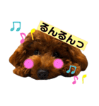 といぷーのラテ  ＝＝よく使うセリフ編＝＝（個別スタンプ：9）