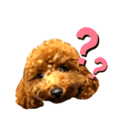 といぷーのラテ  ＝＝よく使うセリフ編＝＝（個別スタンプ：12）