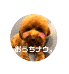 といぷーのラテ  ＝＝よく使うセリフ編＝＝（個別スタンプ：24）