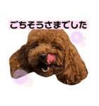 といぷーのラテ  ＝＝よく使うセリフ編＝＝（個別スタンプ：29）