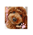 といぷーのラテ  ＝＝よく使うセリフ編＝＝（個別スタンプ：33）