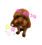 といぷーのラテ  ＝＝よく使うセリフ編＝＝（個別スタンプ：38）