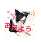 花梨家（個別スタンプ：1）